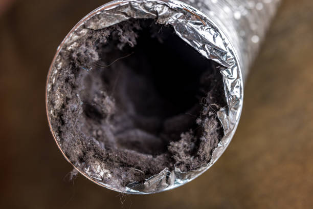 Best HVAC Maintenance and Cleaning  in Palos Park, IL